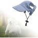 Shop Predolo Pet Sports Hat - Fashionable Dog Solar Cap with Sun Protection & Ear Holes for Small Dogs - Blue XS - Buy Online on GoSupps.com