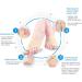 Bunion Corrector Orthopedic Splint & Gel Cushioned Toe Separator for Men/Women - Foot Sleeve for Bunion Relief & Big Toe Joint Alignment (L1) - Buy Online on GoSupps.com