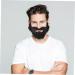Totority 4 pcs fake beard prom decor halloween props short beard makeup party supplies Toy elder artificial Blackx3pcs 21X15X0.1CMx3pcs - Buy Online on GoSupps.com