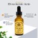Buy Hive & Body Hyaluronic Acid Facial Serum - Organic Propolis & Glycerin Family-Owned California Bee Farmers All-Natural Ingredients 1 fl oz - Buy Online on GoSupps.com