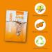DAZZ Eco-Friendly Bathroom Cleaner Refill Pack - Makes 4 Bottles, Safe for Kids & Pets - Buy Online on GoSupps.com