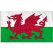 Shachi Great Wales flag Welsh dragon Cymru national flag polyester tissue brass s for FIFA World Cup football rugby sport 3ft x 2ft