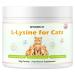 L-Lysine Powder Supplement for Cats Herpes Treatment for Cats - Immune Support & Respiratory Health - Supports Eye & Skin Health - Sneezing Runny Nose Squinting Watery Eyes - 60g