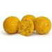 Tandem Baits Euro Boilies for Carp Fishing 16-22 mm 1-10 kg - Buy Online on GoSupps.com