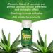 Campho-Phenique Antiseptic Liquid 3/4 oz (Pack of 2) - Effective Antiseptic Treatment - Buy Online on GoSupps.com