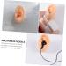 6 Pcs Healvian Ear Model Piercing Jewelry Earrings Silicone Study Ear Models - Assorted Colors - 5.66X4.88X5CM - Buy Online on GoSupps.com