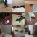 USB Rechargeable Red Laser Pointer Cat Toy for Interactive Indoor Play - Buy Online on GoSupps.com