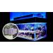 Aqua Jazz AquaJazzView10 1080P WiFi Camera - Indoor Pet Cam, Aquarium & Reef Monitor - Wireless IP Hidden Spy Camera - White - Buy Online on GoSupps.com