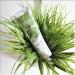 Pistach Skincare Pistachio Oil Hand Cream - Hydrating and Nourishing Formula with Vitamin E for All-Day Protection - 2.4 fl oz - Buy Online on GoSupps.com