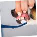 BESPORTBLE 3pcs Pet Double Toothbrush Puppy Teeth Brushes Cat Toothpaste Cat Toothbrushes Sharpened Nylon Blue 1 count (Pack of 1) - Buy Online on GoSupps.com