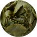 GOARTEA Premium 100g Tieguanyin Tie Guan Yin Oolong Tea - High Mountain Chinese Iron Goddess Fujian Anxi Tea - Buy Online on GoSupps.com