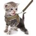 Buy Femax Dog Harness & Linen Set Soft Mesh Padded Reflective Adjustable Breathable for Puppies & Cats Ideal for Walking Running Training XL Camouflage Brown - Buy Online on GoSupps.com
