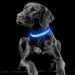 Yfbrite Rechargeable LED Dog Collar - Adjustable Reflective Safety Collar Flashes at Night (Blue Size S) - Buy Online on GoSupps.com