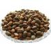 Jamalgota/Croton Tiglium/Jayaphala/Jamalghota/Nepala/Nervalam/Purging Croton/Japalbij/Japolota/Narchalam/Nepalamu/ - by pharmacylife (100GM) - Buy Online on GoSupps.com