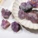 Home Natural Amethyst Cluster Irregualr Specimens Reiki Lavender Purple Crystal Cluster Raw Ore Decor Home Goods (Color : Amethyst Cluster Size : 3-4cm) 3-4cm Amethyst Cluster - Buy Online on GoSupps.com