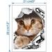 U-M 1 Sheet Funny Cat Dog 3D Wall Sticker Hole View Living Room Wall Decal Toilet Seat Cover Lid Sticker Mural Art Poster Background Bathroom Bedroom Cat as shown - Buy Online on GoSupps.com
