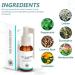 Lung Cleansing Spray - Natural Detox for Healthy Breathing | International Shipping Available - Buy Online on GoSupps.com