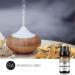 100% Pure Sandalwood Essential Oil - Natural Aromatherapy for Diffuser (10ML) - Buy Online on GoSupps.com