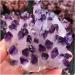 Hot Day Crystal Cluster Purple Crystal Processing from Home Collections - Buy Online on GoSupps.com