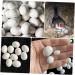 Housoutil 12pcs Bird Supply Festival Eggs Minieggs Portable Simulated Egg Xuan Feng Plastic White Parrot 1.9x1.6cm White - Buy Online on GoSupps.com