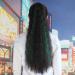 Horsetail Wig for Women - Long Curly Clip-On Ponytail in Black & Arctic Green | Fluffy Hip Hop Hairstyle - Buy Online on GoSupps.com