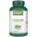 VORST Choline Bitartrate 410mg Per Serving 180 Vegan Capsules | Supplement for Liver Health | Fatty Liver & Brain Supplement | Powder Pills | 1 Bottle 180 count (Pack of 1)
