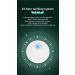 Roseflower Cat Litter Deodorizer | Intelligent Odor Eliminator & Air Purifier for Litter Boxes Kitchens & Bathrooms - #1 Choice for Pets - Buy Online on GoSupps.com