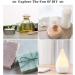 Yethious Organic Chamomile Lavender Essential Oil Set - 2 Pack Aromatherapy Oils for Diffuser - Buy Online on GoSupps.com