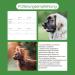 CaniMove Double Pack Enteral Acute - 2 x 12 Tablets for Dogs & Cats | Relief for Acute Diarrhoea | International Shipping Available - Buy Online on GoSupps.com