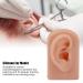 Silicone Right Ear Model for Piercing Training and Earrings Display - Dark Skin Color - Buy Online on GoSupps.com