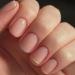 French Tip Press on Nails - Short Press On Nails with Nail Tips Summer minimalist five colors Design press on nails Acrylic False Nails Cute Artificial Nails