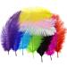 10pcs Fluffy Ostrich Artificial Feathers Arts Crafts Mixed Colors (10-12 Length)  DIY Decoration for Wedding Centerpieces  Festival Party