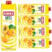 Pufai Dimes Classic Apricot Nectar Fruit Juice 1000 ml x 5 Pieces