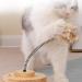 Marchul Cat Toy Ball Roller with Treat Ball | Interactive Wooden Track Balls Turntable for Kittens | Cat Supplies - Buy Online on GoSupps.com