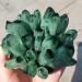 Home 300g-700g Natural Green Ghost Phantom Quartz Crystal Cluster Specimen Home Decoration Crystal Ornament Home Goods (Size : 500-g600g) - Buy Online on GoSupps.com