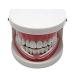 Dental Guard for Teeth Grinding - Ready-to-Use, Slim & Comfortable - Upper & Lower Jaw Relief for TMJ & Bruxism - Buy Online on GoSupps.com