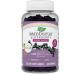 Nature's Way Sambucus Gummies for Kids Standardized Elderberry 60 Gummies