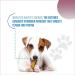 Revive Active - Enzymatic Dental Wafers for Small-Medium Dogs 14ct Prevents Plaque and Tartar Antiseptic Reduces Bacteria Improves Hygiene Oral of your Dog. 1 count (Pack of 14) - Buy Online on GoSupps.com