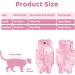 Mezrkuwr Katzenbody for Cats - Soft One-Piece Surgical Recovery Suit & Spay Collar Alternative (Medium) - Ideal After Castration - Buy Online on GoSupps.com