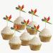 Colorful Parrot Birthday Party Cupcake Picks - 14 Pack Decorations for Tropical Parties - Buy Online on GoSupps.com