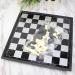 Children 's Thinking Strategy Board Game Chess for Beginners Black and White Chess Pieces for Games Magnetic Foldable Portable Chess Set - Buy Online on GoSupps.com