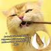 Buy Matatabi Cat Mint Sticks - 40 Pieces for Dental Care | Catnip Toys for Cats - Buy Online on GoSupps.com