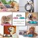 WERFORU 2 Pieces Dog Bowls Stainless Steel Dog Cat Bowls Pet Bowls For Feeding Water and Food Pink Medium Size M (2 Count) A-pink - Buy Online on GoSupps.com