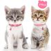 Taglory Reflective Cat Collar with Safety Clasp & Bell - 2-Piece Adjustable Kitten Collars (15-20cm) - Pink - Buy Online on GoSupps.com