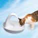 Pioneer Pet Swan Pet Drinking Fountain - 80oz Water Capacity (White Plastic) - Buy Online on GoSupps.com