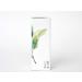 Buy Skin Essence Organics Fresh Facial Cleanser - Gentle Natural Skincare for All Skin Types | Fast International Shipping - Buy Online on GoSupps.com