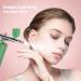 Facial Oxygen Injection Machine for Skin Rejuvenation - High Pressure Handheld Injector for Beauty Salon (Green) - Buy Online on GoSupps.com