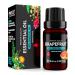 Grapefruit (Citrus paradisi) 100% Pure Essential Oil Select Grade 10ml