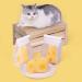 EWRTM Cat Stuffed Toy Great Tear-Puppy Kitty Toy Cheese Modeling Chew Toy Multi - Buy Online on GoSupps.com