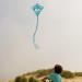 In The Breeze 30 Graphic Diamond Kite Shark - Buy Online on GoSupps.com